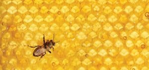 تكاليف العمليات