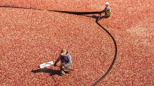 كيف تخبر مديرك أنك مشغول