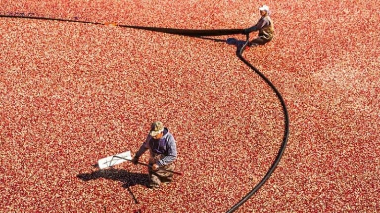 كيف تخبر مديرك أنك مشغول