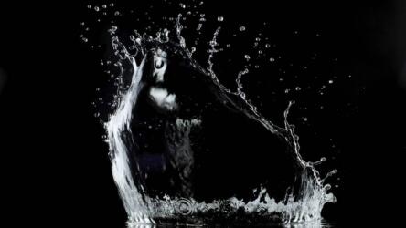 كيفية تقديم عرض تقديمي