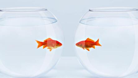 الأمور التي تؤثر في علاقات العمل