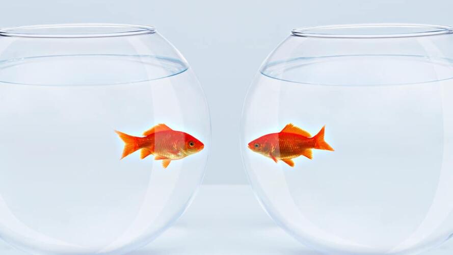 الأمور التي تؤثر في علاقات العمل