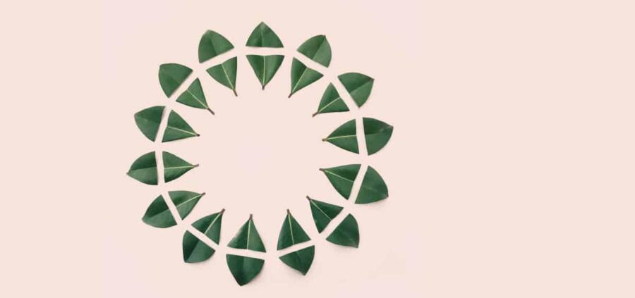 علم البيانات وفن الإقناع