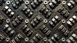 أنواع علماء البيانات