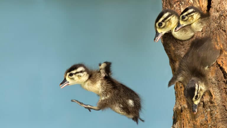 تشجيع الموظفين للنظر في عروض العمل