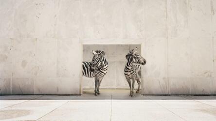 الأمهات العاملات والعودة للعمل بعد انتهاء الإجازة