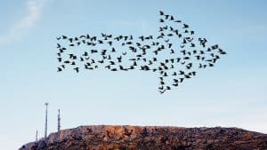 توجيه فريق العمل