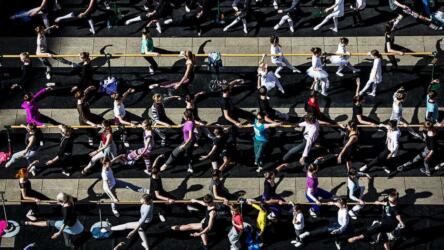 دور متخصص دعم المبيعات