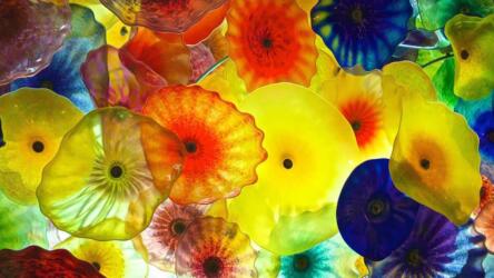 إدارة فريق من النجوم