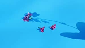 فقدان المرشد