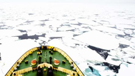 التعامل الصحيح مع العمل