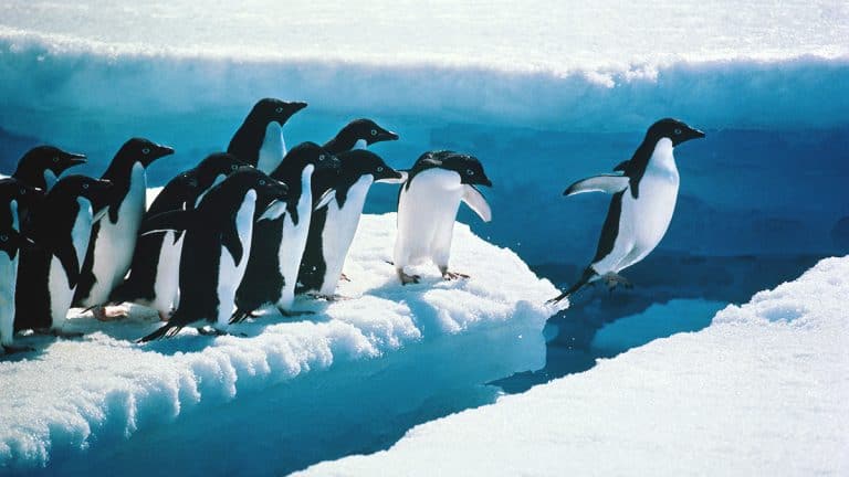 متطلبات مدير المبيعات