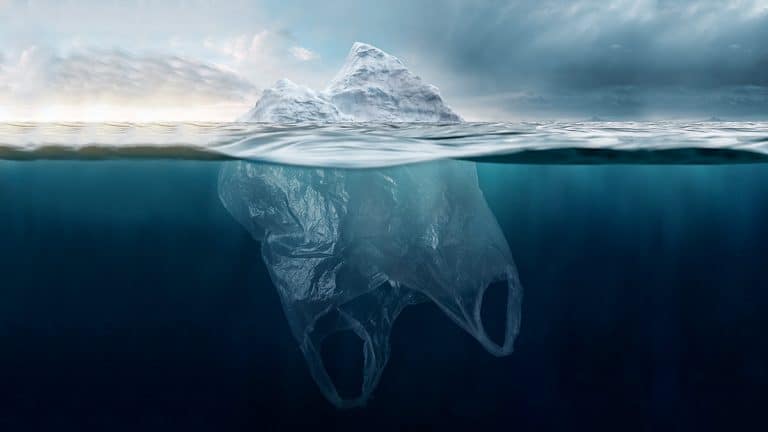 قصة الاستدامة في عام 2018