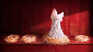 التركيز على نقاط القوة