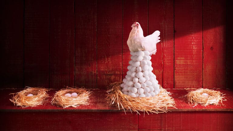 التركيز على نقاط القوة