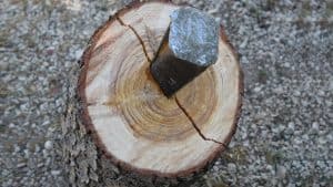 عصيان قوانين الشركة