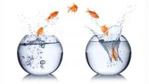 أعراض مبادرات التغيير