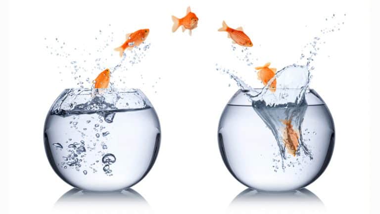 أعراض مبادرات التغيير