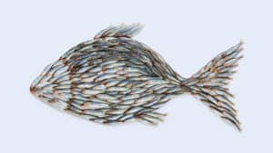 تأثير مساحات العمل المشتركة