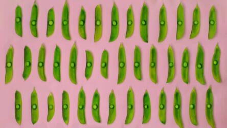 مشاريع التحليلات المحوسبة