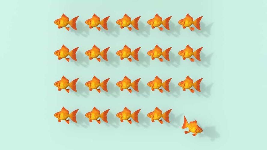 كيف أغادر شركة العائلة