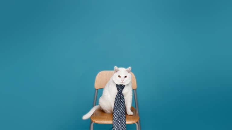 حدثني عن نفسك