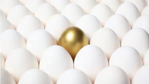 مندوب المبيعات المتميز