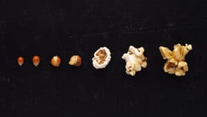 تجارب موظفي الشركات الناشئة