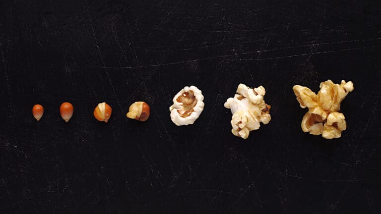 تجارب موظفي الشركات الناشئة