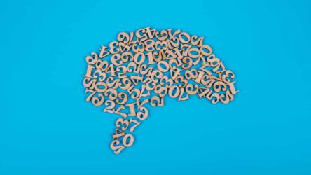 المشاريع المعتمدة على البيانات