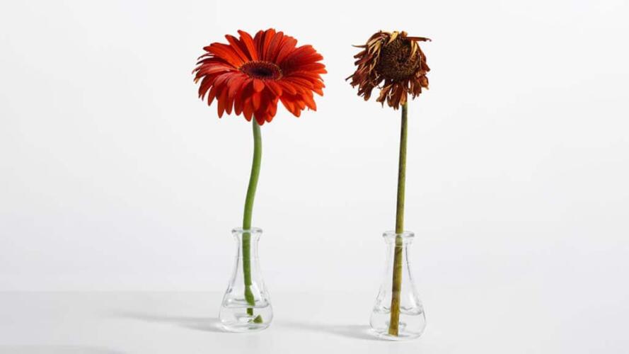 الحد من تأثير التوتر