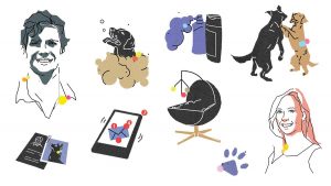 دراسة وضع الشركة الناشئة