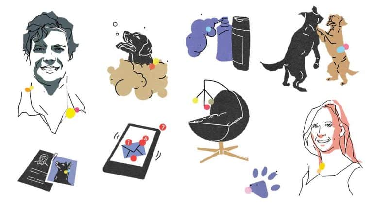 دراسة وضع الشركة الناشئة