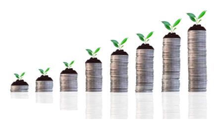 نمو الشركات المتوسطة