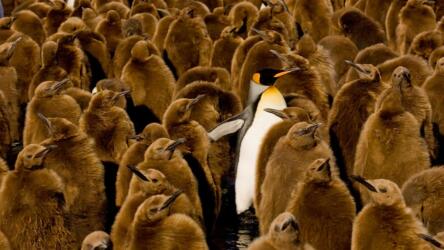 التنقل إلى وظيفة جديدة