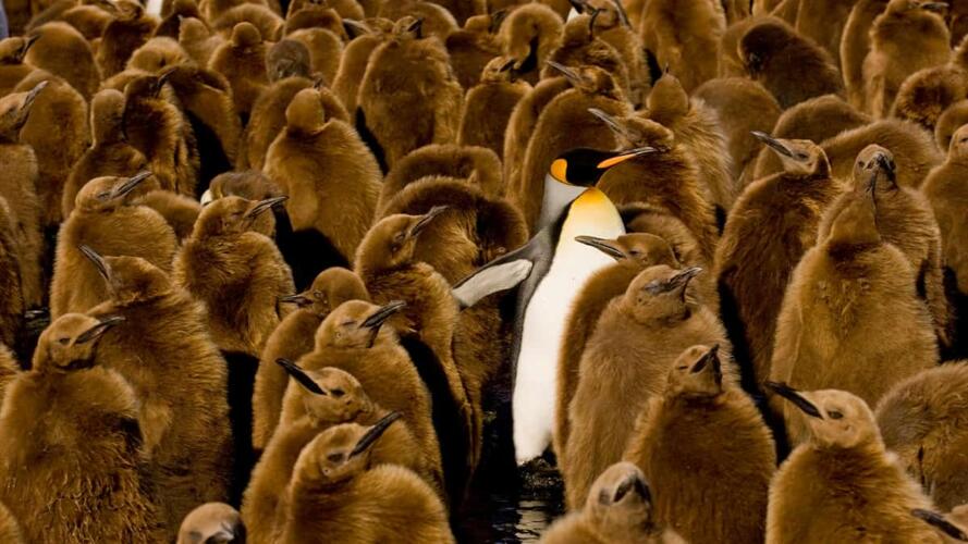 التنقل إلى وظيفة جديدة