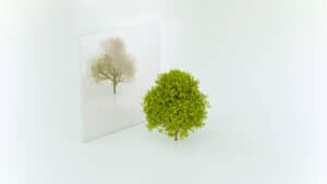 التعامل مع وفاة زميل في العمل