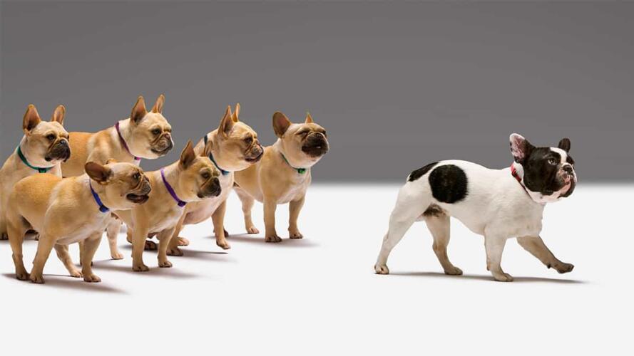 الخوف من آراء الآخرين