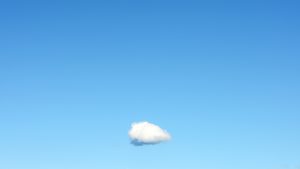 إدارة فريق العمل عن بعد