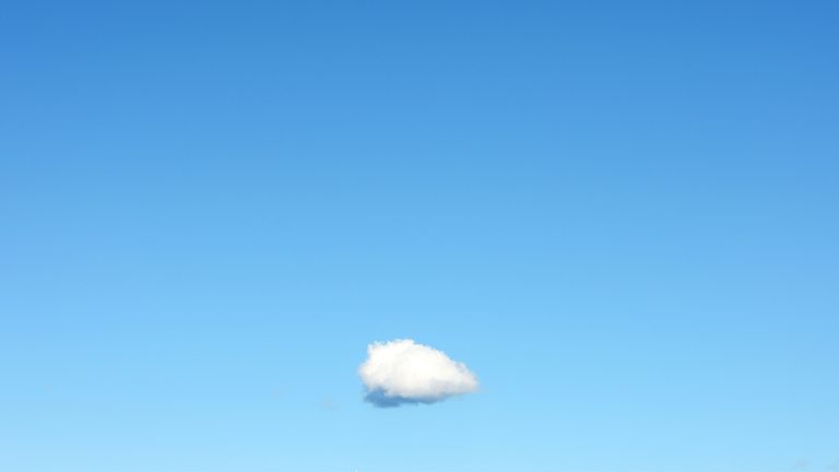 إدارة فريق العمل عن بعد