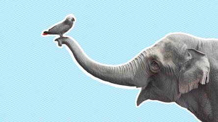 بناء علاقات الصداقة في العمل