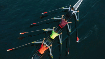 منصب المدير التنفيذي