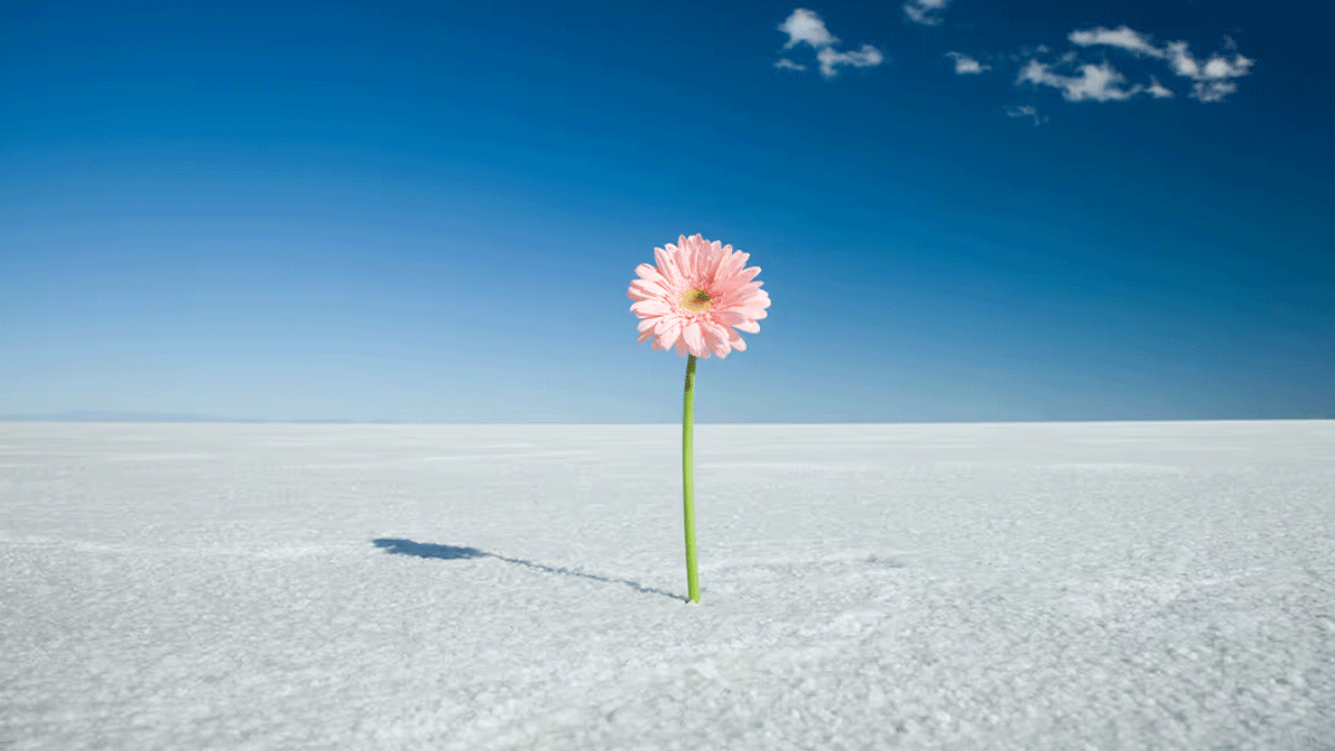 تحذير للشركات الناشئة: الغاية السامية قد تبعد الكفاءات