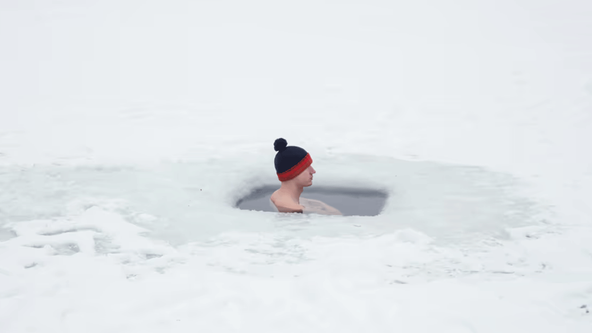 كيف تظهر قدرتك على التكيف وتثبتها في مكان العمل؟