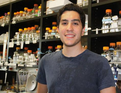 لقاح كرة القدم