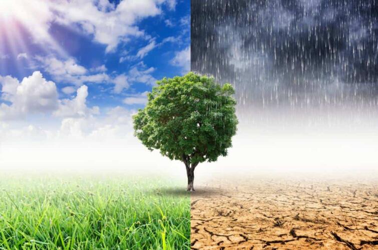 ما الذي يعيق اتخاذ تدابير لمواجهة التغير المناخي على أعلى المستويات؟