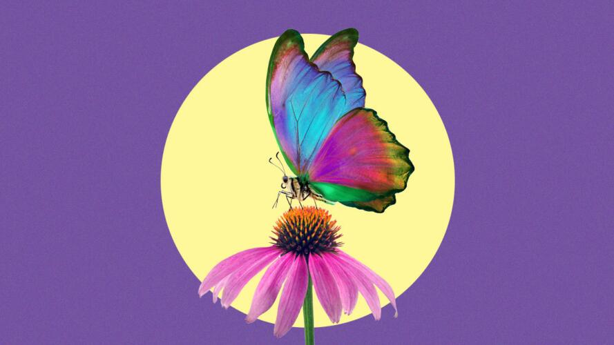 الواقع المضاد