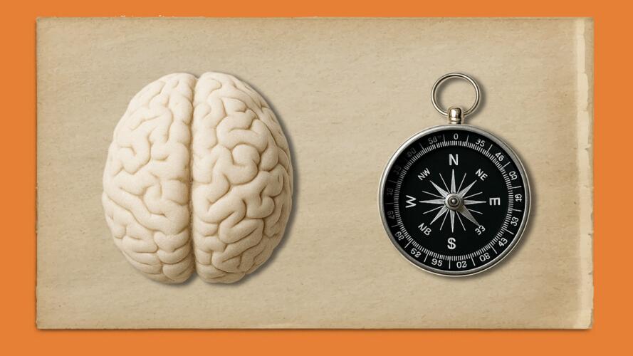 حماية دماغك من الخرف