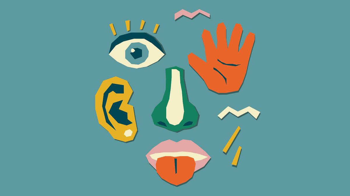 صدمة علمية: هل تخطئنا كتب الأحياء؟ اكتشف العدد الحقيقي لحواسك!