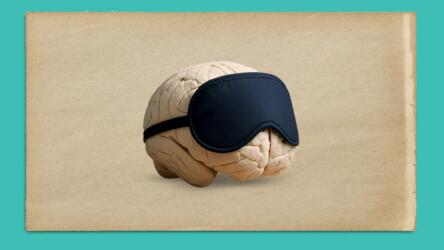 النوم يعزز تذكّر المعلومات المعقدة